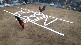 1st fight