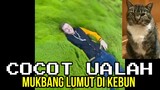 MUKBANG LUMUT DI KEBUN 🗿 | CHOCHOT UALAH 104