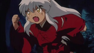 [ InuYasha ] InuYasha sangat lucu ketika dia masih kecil