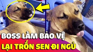 Bật cười với phiên bản Boss làm 'BẢO VỆ' giữ xe giúp SEN nhưng mà nó 'LẠ LẮM' 🤣 Gâu Đần