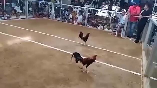 #win