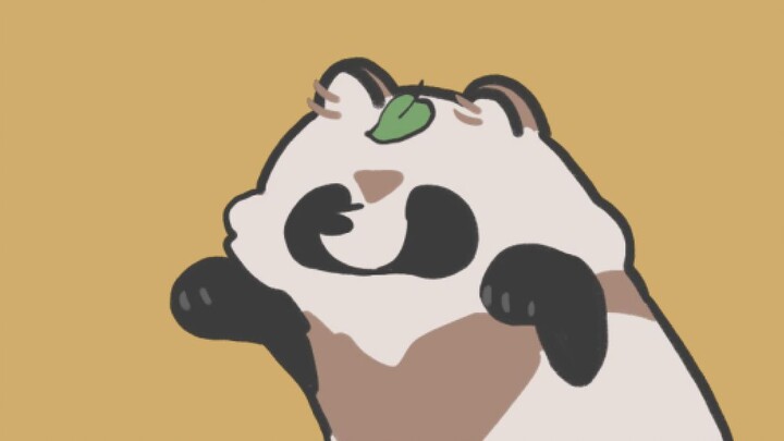 Pedro the raccoon