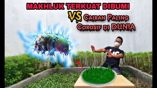 EKSPERIMEN: CAIRAN ASAM LAMBUNG (HCI) vs TARDIGRADA [BATTLE].. Untuk pertama kalinya ini terjadi..