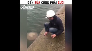 Đến Sứa Cũng Phải Cười | Cre : Nguyễn Thị Lệ