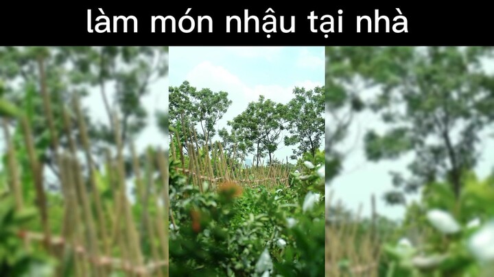 cây nhà lá vườn#cooking#nauan#monngon