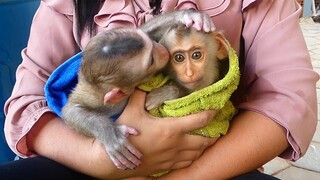 So Sweet!! Smart Little Maki Give Kissing For Orphan Baby Maku After Bathing