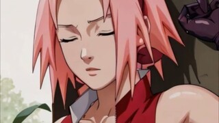 SAKURA VERSI ANU BESAR DAN BULAT