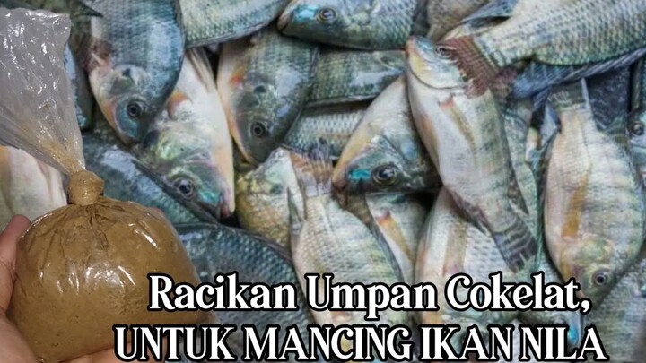 Umpan Jitu, Racikan buat mancing ikan Nila mujaer, !!!