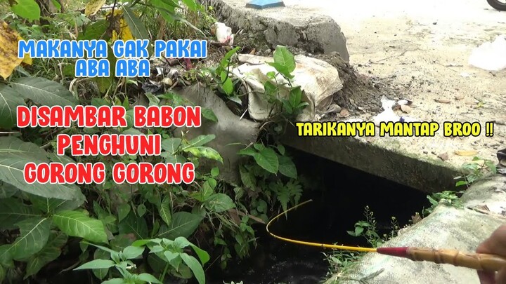 MANTAPP !! Mancing di Gorong Gorong yang Jadi Sarang Babon