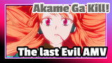 Akame ga Kill! | The last evil spirit