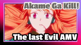 Akame ga Kill! | The last evil spirit