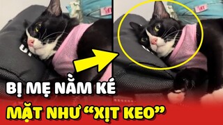 Hoàng Thượng PHÁT CỌC vì bà già NẰM KÉ mà còn hay Ý KIẾN 😂 | Yêu Lu