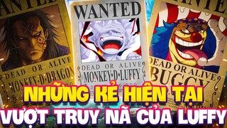 DRAGON BỊ TRUY NÃ TẬN 6 TỶ BELI? | NHỮNG KẺ CÓ MỨC TRUY NÃ VƯỢT LUFFY HIỆN TẠI