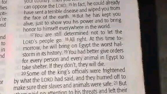 Daily Verse.                  Exodus 9:13-21