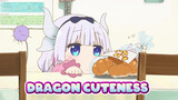 Cuteness Overload! Dragon on Diet