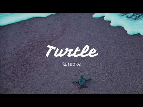 Davichi - Turtle Karaoke Lyrics