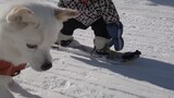 Video hasil editan campuran tentang bayi berusia 1 tahun yang bermain ski, apa yang menarik darinya?