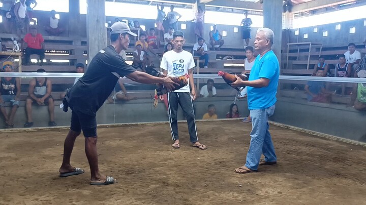 tornado hatch (win) bilis lang pumatay
