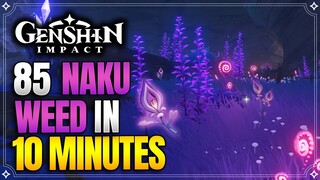 Naku Weed Locations (New) | Fast and Efficient | Yoimiya Ascension Materials |【Genshin Impact】