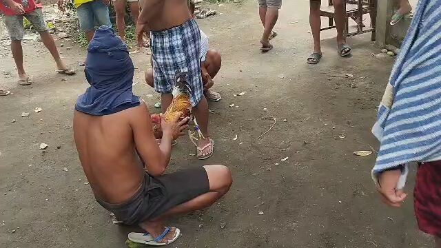 balaw