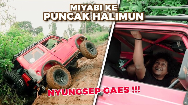( PART 2) CAMPING BARENG MIYABI DI PUNCAK HALIMUN | AUTOBEBS