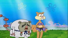 Spongebob bahasa Indonesia s8| Spongebob ujian jadi master karate | dub indo