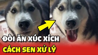 Chú chó Husky KÉN ĂN và cách xử lý CAO TAY của Sen 😂 | Yêu Lu