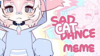 meme】SAD CAT DANCE |animasi meme