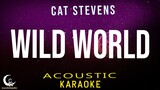 WILD WORLD - Cat Stevens - ( Acoustic Karaoke/Instrumental )