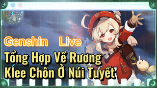 [Genshin, Live] Tổng Hợp Về Rương Klee Chôn Ở Núi Tuyết