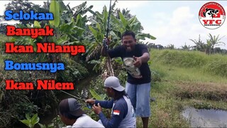 Mancing Ikan Nila Seru di Selokan, Jackpotnya Ikan Nilem