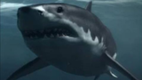 Megalodon (Still Out There)