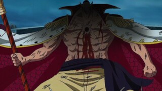 You are a marine, when you shoot Whitebeard and dream of promotion
