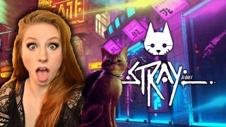 Stray Release Date Trailer REACTION | State of Play June 2022