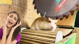 Funny and cute hamster 🐭 Mechanical Hamster Maze with Traps 😱 OBSTACLE COURSE 😱 cute hamster videos