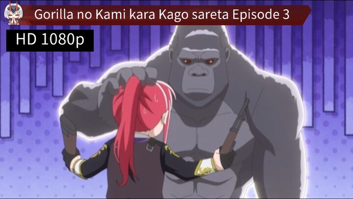 Gorilla no Kami kara Kago sareta Episode 3 Sub Indo