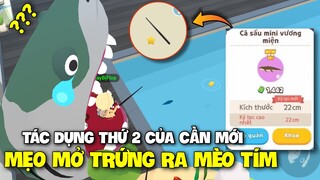 Play Together | Chuyến Đi Câu Sấu Mini Và Tác Dụng Bí Mật Của Cần Lấp Lánh | Mẹo Mở Trứng Mèo Tím