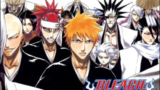 #bleach Người chỉ huy của đội thần chết