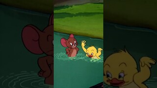 Swimming Lessons For Little Quacker  #shorts #tomandjerry  #cartoon