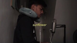 sunflower cover