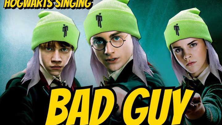 Spoofing Harry Potter- Cover song- BAD GUY