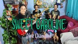 Packasz - Sweet Caroline (Neil Diamond cover) / Reggae cover