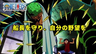 [MAD][AMV]Roronoa Zoro is very protective|<ONE PIECE>