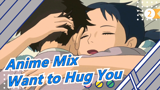 How Much I Want to Hug You, Even We're in the different Place and Time/The Wind Arises/Anime Mix