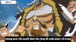 Top 5 Thanh Niên Máu Liều Nhiều Hơn Máu Não trong One Piece #13- 6