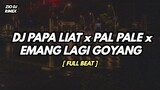 DJ PAPA LIAT x PAL PALE x EMANG LAGI GOYANG || MASHUP REMIX THAILAND || dj tiktok viral terbaru 2021