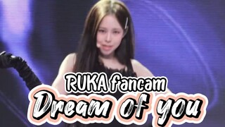 Dream of you (RUKA fancam)