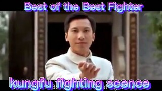 LEGEND KUNGFU FIGHTER IP MAN