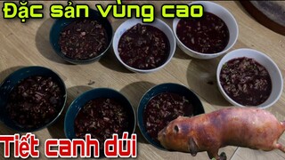 Ẩm Thực Đặc Sản Vùng Cao Thịt Dúi Nấu Nước Dừa , Tiết Canh Dúi Và Dúi Nướng | Sâu TV