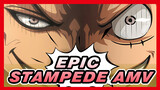 Epic Stampede AMV, Stampede Is Art! | One Piece